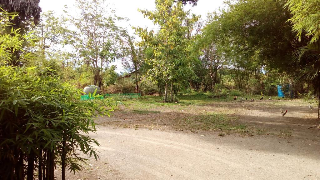 Suratthani Airport Campsite Surat Thani Exterior foto