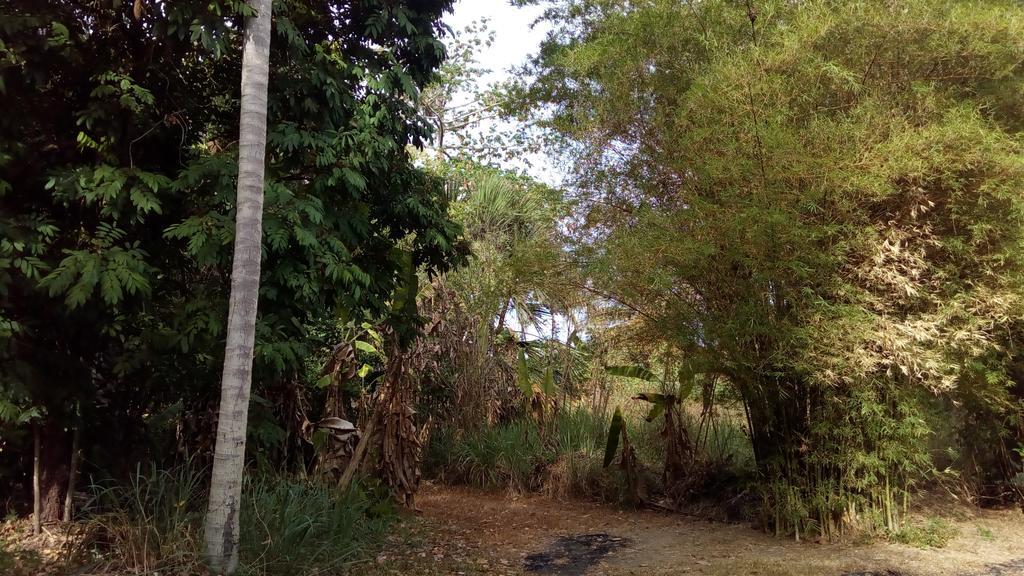 Suratthani Airport Campsite Surat Thani Exterior foto